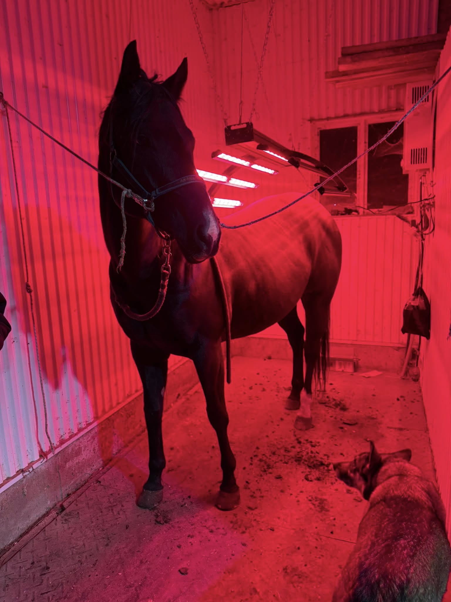 Dépot 50 % Solarium