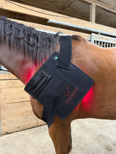 Model 240-WL Pad (Wireless) - Horse