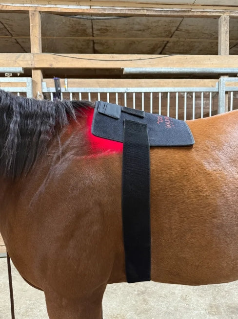 Model 240-WL Pad (Wireless) - Horse