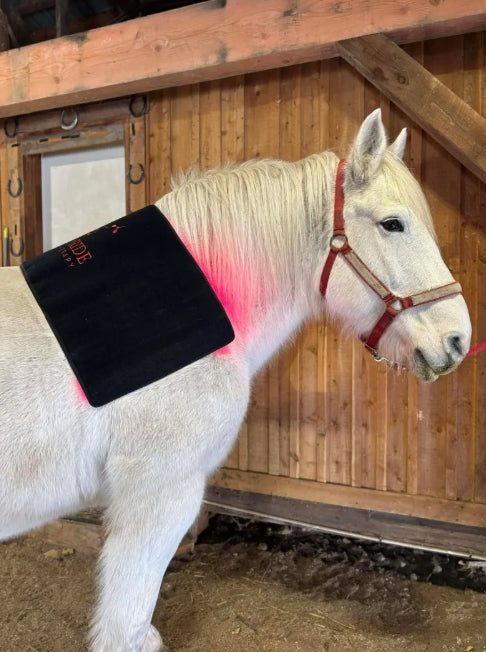 Pad Model 720-W (Wired) - Horse