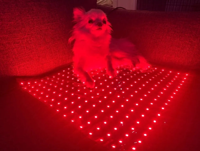 Pad Model 270-W (Wired) - Dog