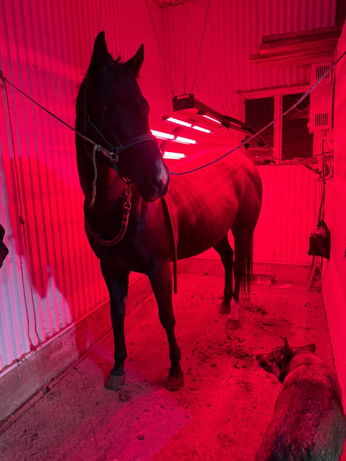 Dépot 50 % Solarium