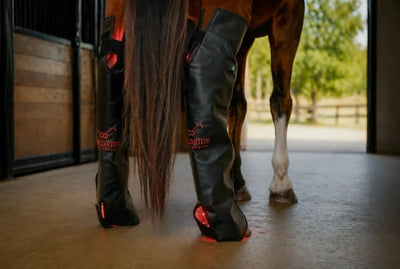 Full Leg Wrap (Rear) Model 238-WL (Wireless) - Unit