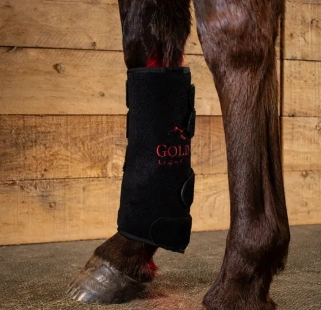 Leg Wrap Model 110-WL (Sans fil) - Unité