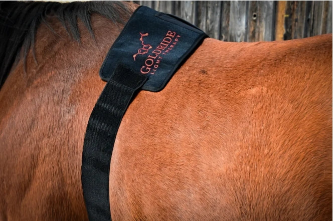 Pad Model 136-W (Wired) - Horse