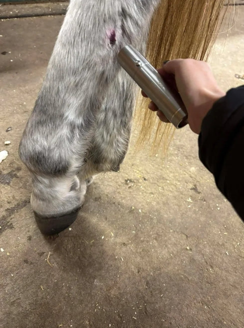 Cold Laser Model – Precision Light Therapy Device - Equine