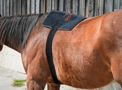 Pad Model 270-W (Wired) - Horse