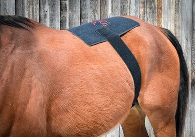 Pad Model 270-W (Wired) - Horse
