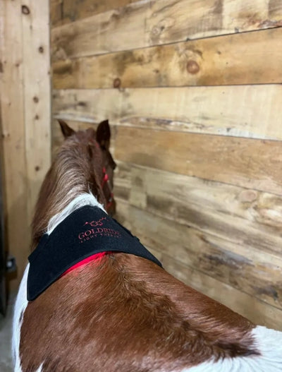 Pad Model 120-WL (Wireless) - Horse