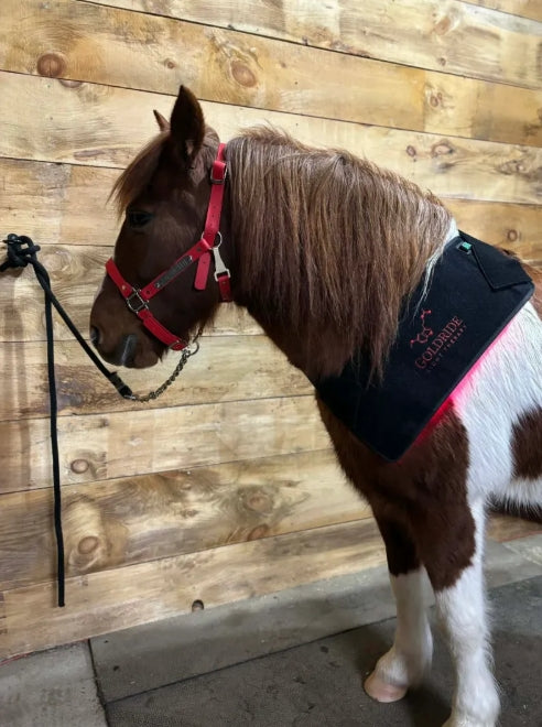 Pad Model 120-WL (Wireless) - Horse