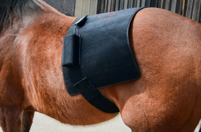 Pad Model 720-W (Avec fil) - Cheval