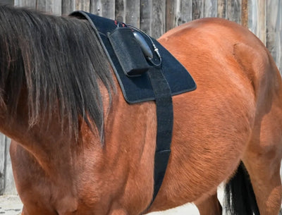 Pad Model 468-W (Wired) - Horse