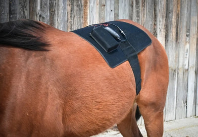 Pad Model 468-W (Wired) - Horse