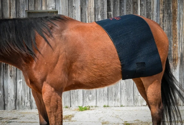Pad Model 1170-W (Avec fil) - Cheval