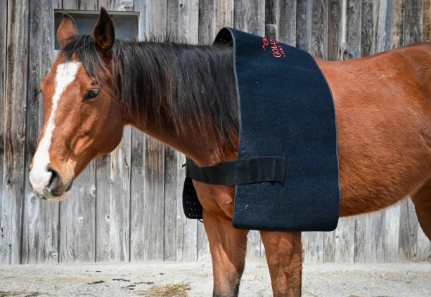 Pad Model 1170-W (Avec fil) - Cheval