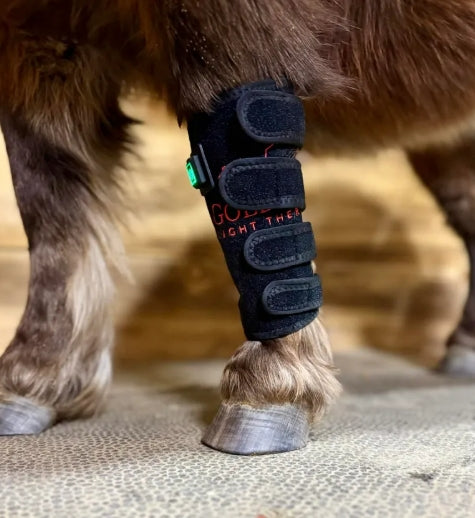 Leg Wrap Model 40-WL (Cordless) - Pony