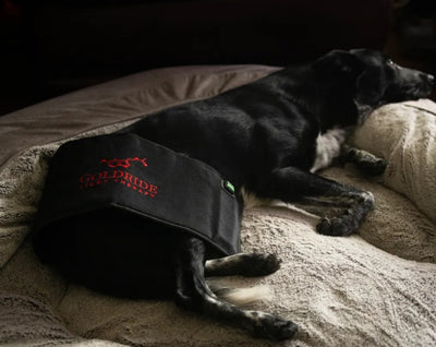 Pad Model 160-WL (Wireless) - Dog