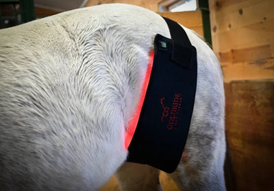 Pad Model 160-WL (Wireless) - Horse