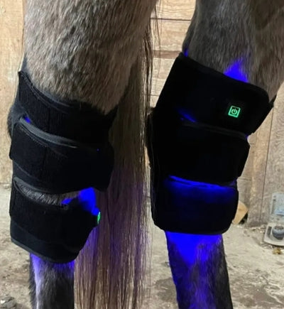 Pad Model 132-WLB (Blue Light) - Unit