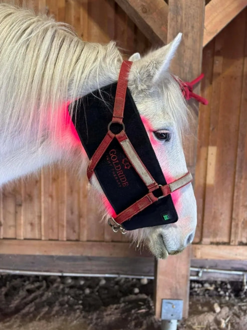 Pad Model 160-WL (Wireless) - Horse