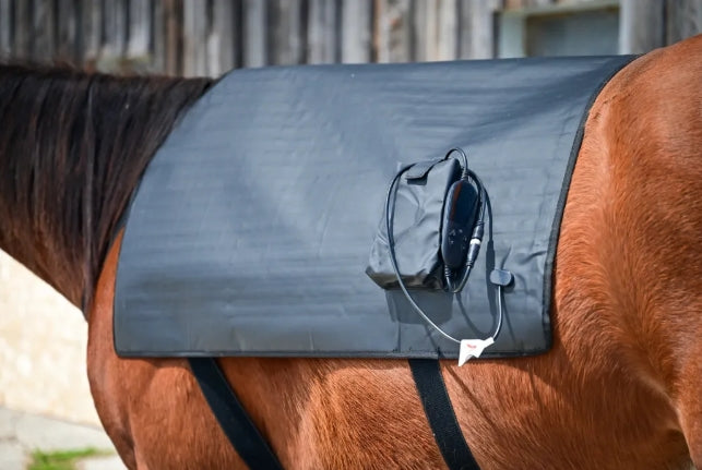 Pad Model 1304-W (Avec fil) - Cheval