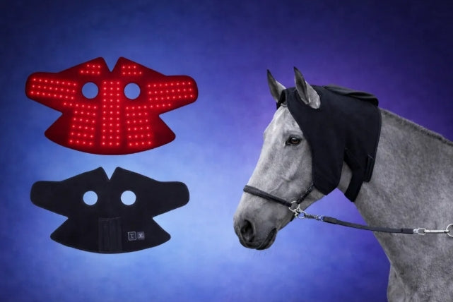 Poll Cap Model 151-WL (Sans fil)