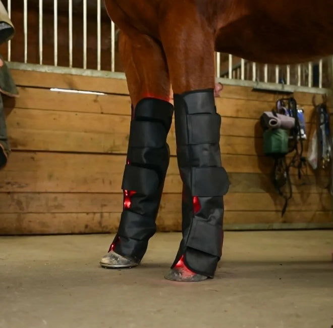 Full Leg Wrap (Devant) Model 168-WL (Sans fil) - Unité