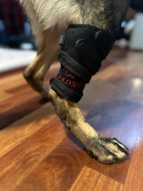 Leg Wrap 34-WL (Sans fil)