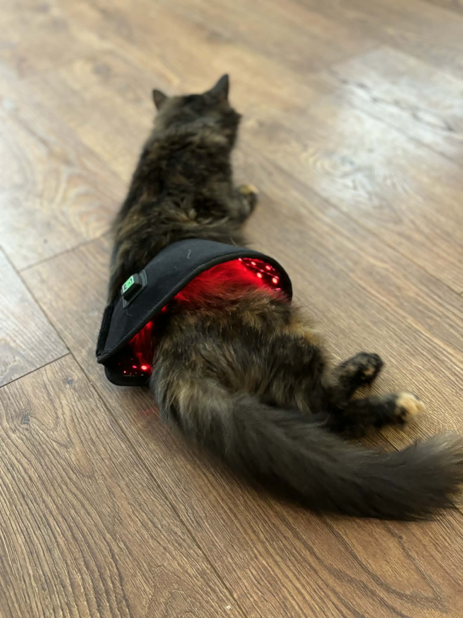 Pad Model 80-WL (Sans fil) - Chat