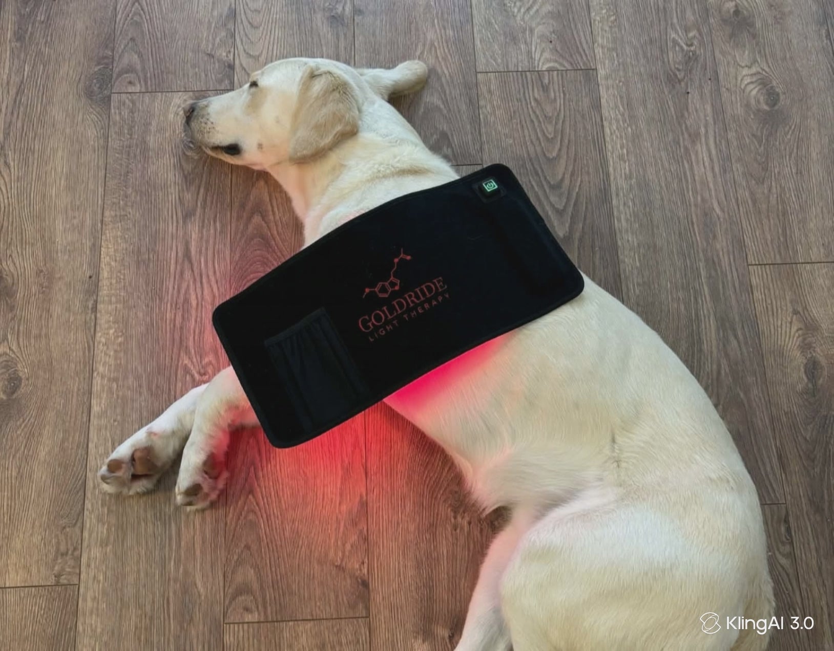 Charger la vidéo: 